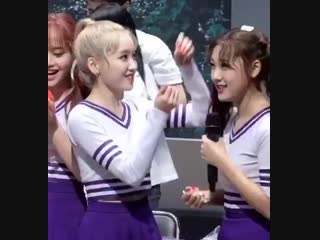 Gowon *carefully places 3 petals on choerry’s head* choerry *just piles them on gowon*