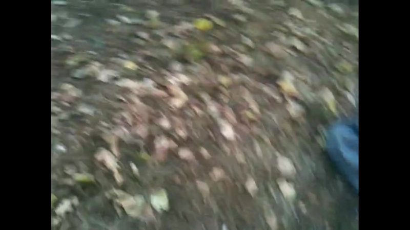 Бомжей прессует молодняк