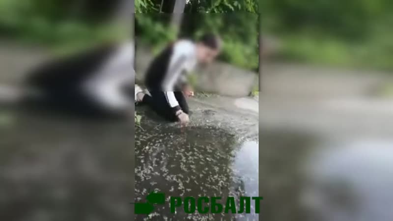 В бийске школьницы заставили свою знакомую пить из лужи