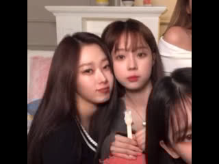 Dumb and dumber for real