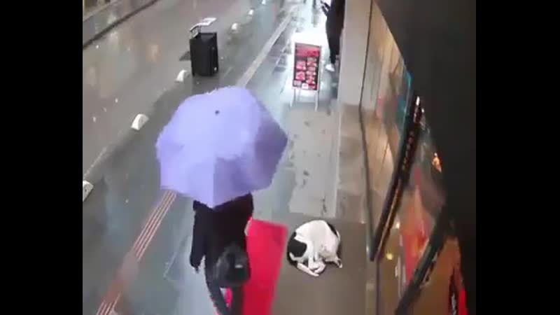 Подарила немного тепла