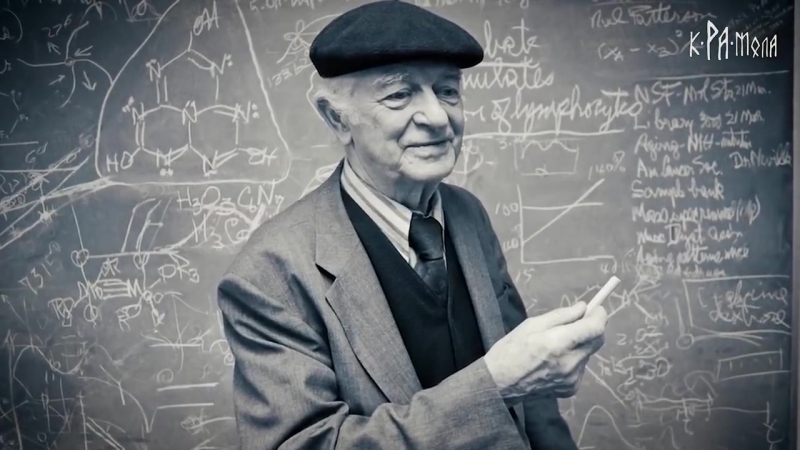 Врачи нас снова обманули так ли полезны витамины как один учёный заставил весь