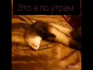 Video style 20200217 111022 0 mp4