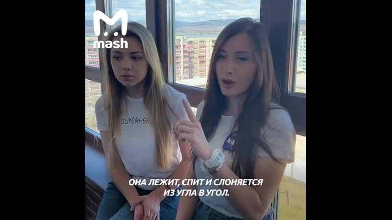 Две девушки собрали деньги львице на новый дом