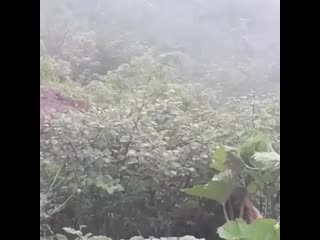 Sochi vteme 20200813 16 mp4