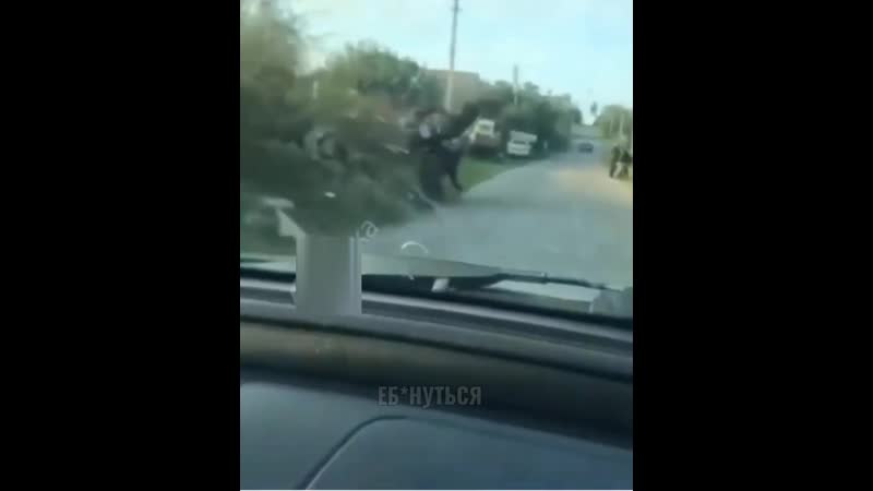 Кончиты, п*зда олегу