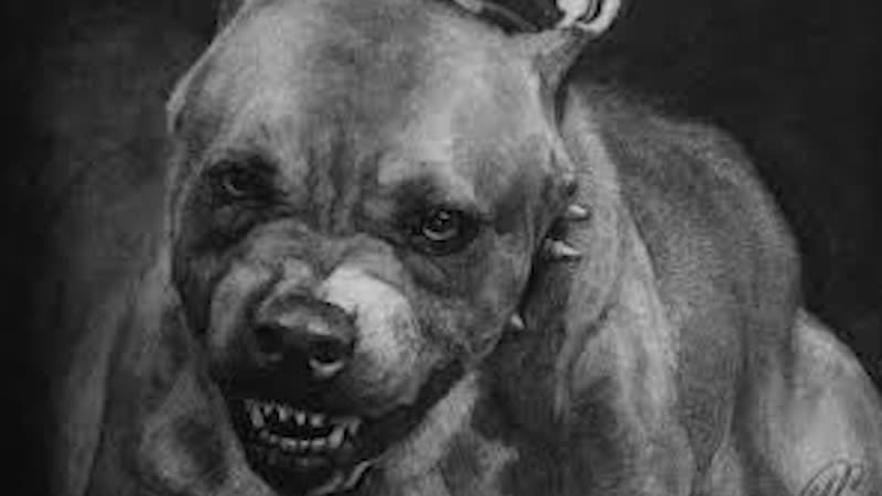 Стаффорд порвал лицо старушке