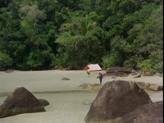 A ilha dos prazeres proibidos