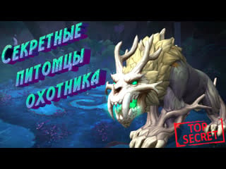 Секретные питомцы охотника в изумрудном сне в world of warcraft dragonflight 10 2 #dragonflight