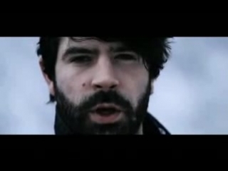 Foals spanish sahara