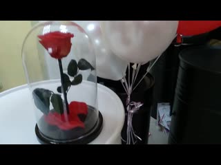 Вечная живая роза с колбе, воздушные шары в митино