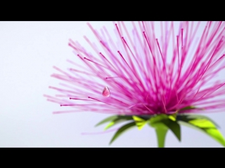 Комплексный уход против первых возрастных признаков novage true perfection