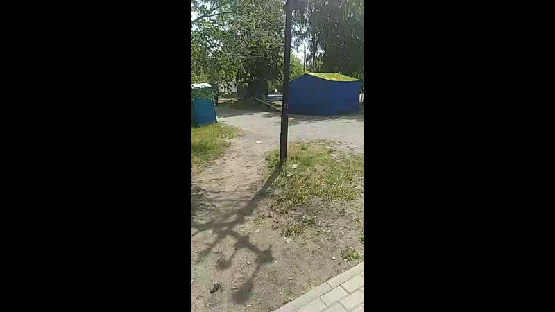 Поситили выстау в коркино