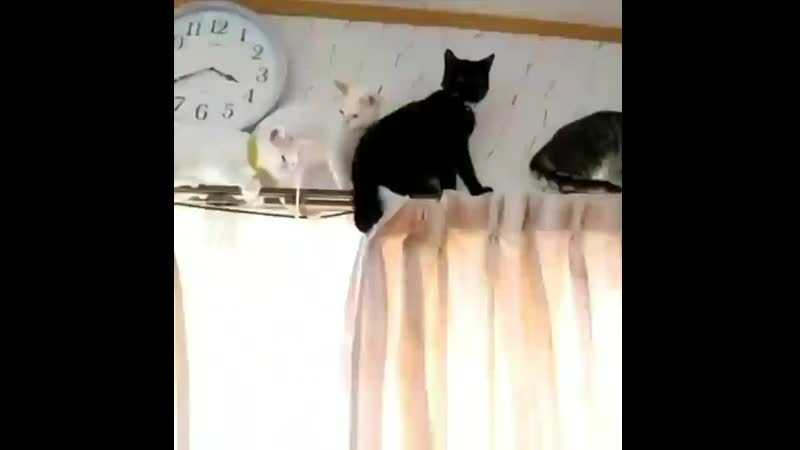 Taegi by porn ⁺¹⁸