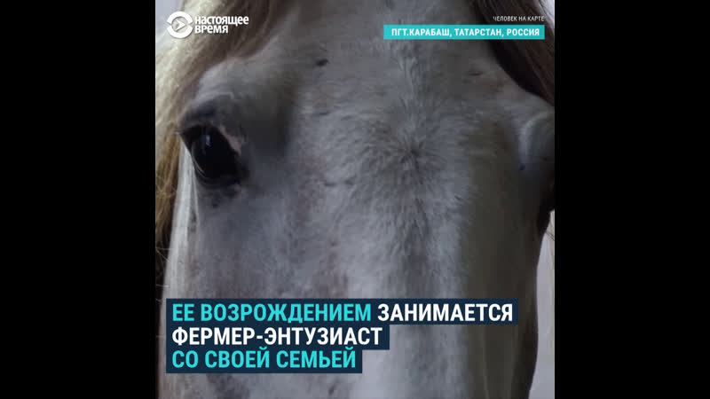 Зарабатывает на запраах и тратит на возрождение породы лошадей