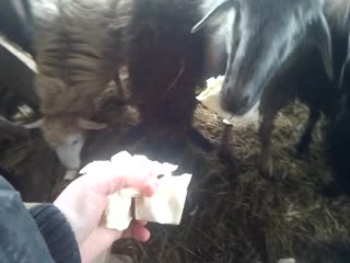 Trim 20190228 153946 mp4