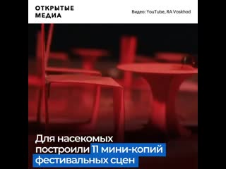 В екатеринбурге прошёл музыкальный фестиваль для муравьёв