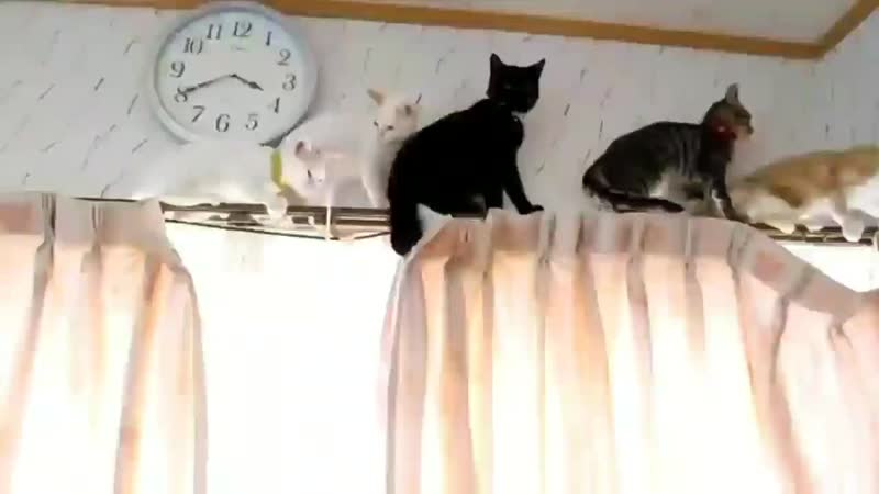 Vmin (sims) by porn ⁺¹⁸