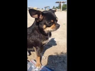 Marina phedunkiv+instautility 00 marina phedunkiv 11 76894296 171402527886800 4630461991003811669 n mp4