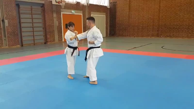 Goju ryu kata renzoku bunkai gekisai dai ichi