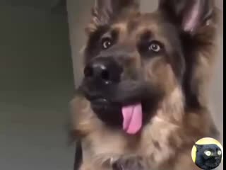 Тебя снимают на камеру, соберись!