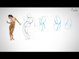 Proko «figure drawing fundamentals» (part 19/42)