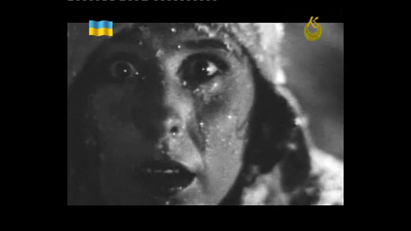 На службі режиму лені ріфеншталь (2009)