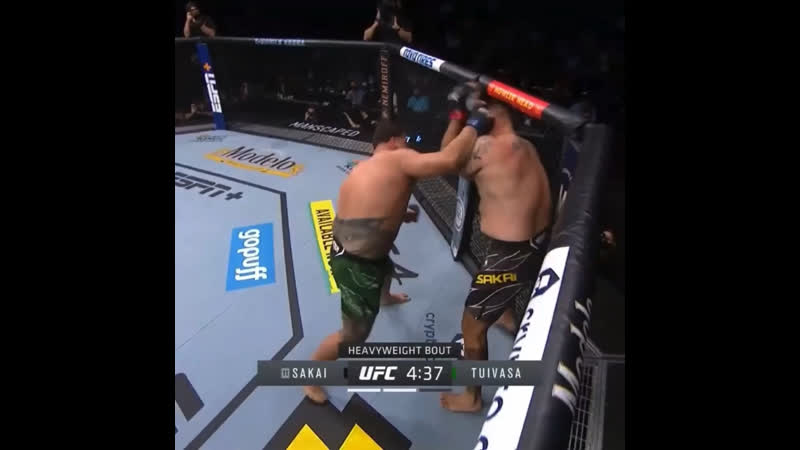 Туиваса нокаутирует сакаи!