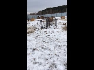 Live тёплая лапа ирбиса