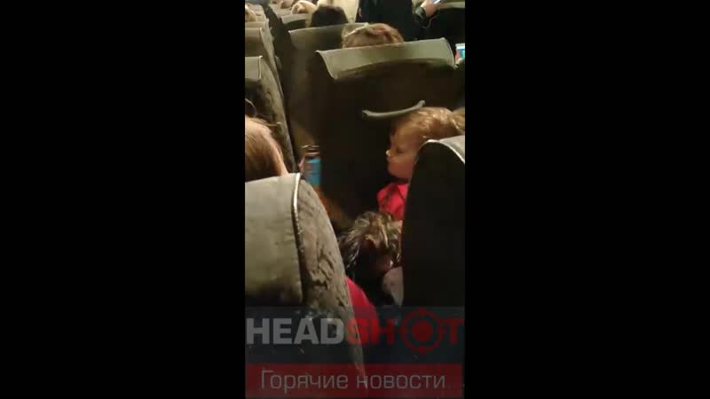 В ленинградской области мать напоила молодые дочь пивом 1