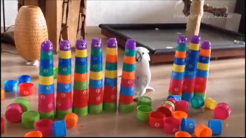 Понаставили тут ни пройти, ни проехать (vhs video)