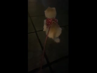 200927 yesung instagram live