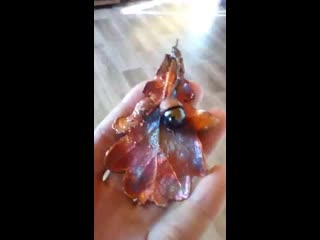 Video 20201116 140301 mp4