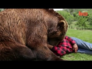 Wrestling a grizzly bear in my garden