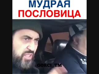 Мудрые слова