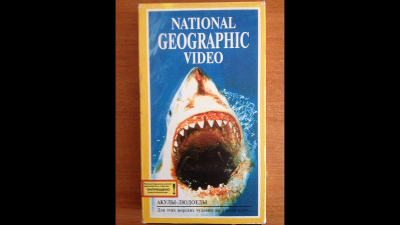 Акулы людоеды