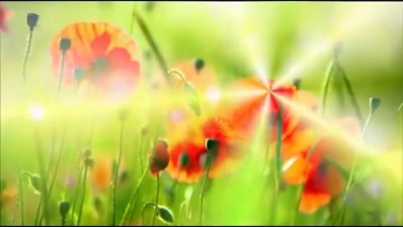 Прикордонники закликали любителів “русского мира” не псувати настрій собі та іншим