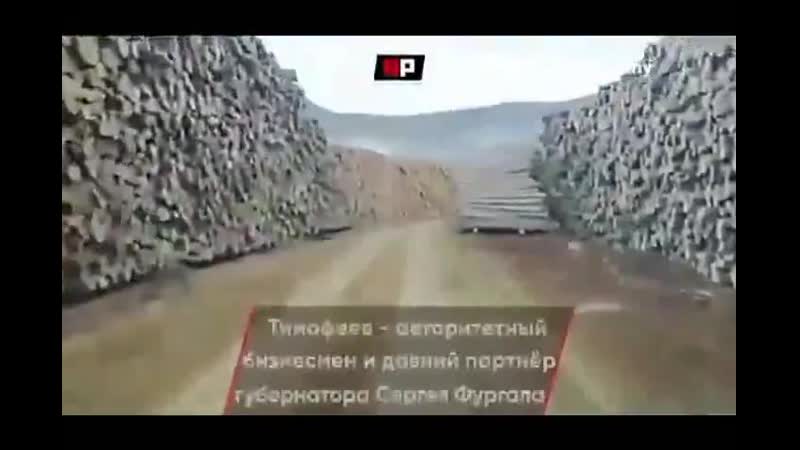 Вырубка леса