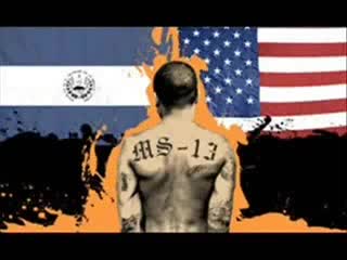 Посвящение в la mara salvatrucha 13 (ms 13)