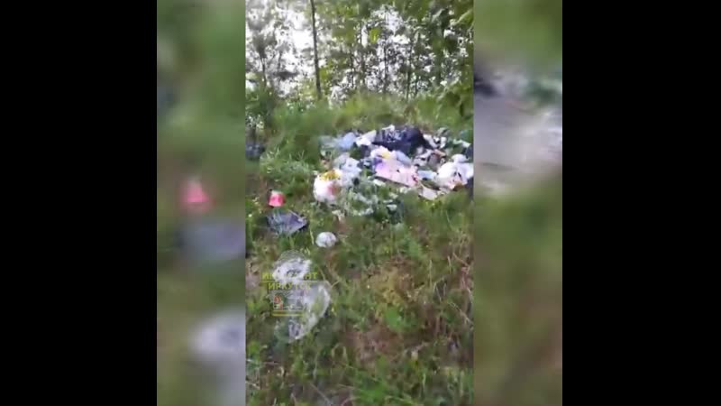 Опять нахрюкали у ангары