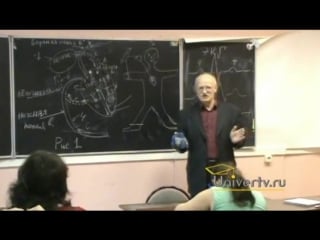 Безденежных б н лекция 8 мышечная и кровеносная системы организма часть2 онтогенез нервной системы