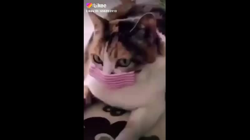 Отойди противный заразишь)