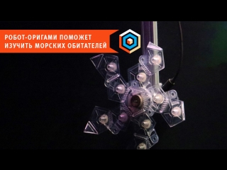 Робот оригами поможет изучить морских обитателей