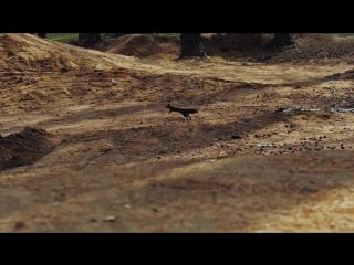 Vvc force 2015 full movie pinkbike