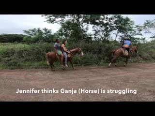 Fiji horse ride in rural nadi