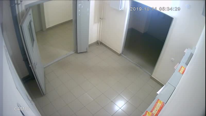 Кириши скандальные драка с подъездом