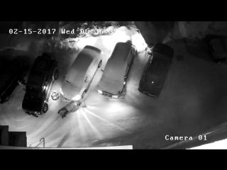 Новосибирец расстрелял свою соседку на паркое