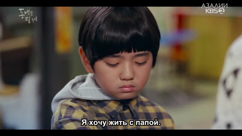 Когда цветет камелия 17/20
