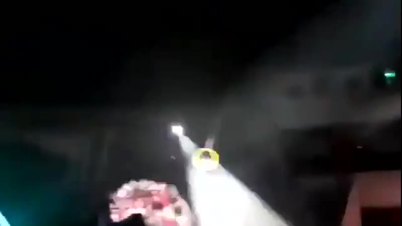 Цирковой бобёр в ярославле