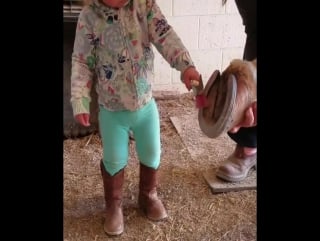 The shippers have been stuck in traffic in bowling green because of a wreck for three hours so enjoy this video of my daughter